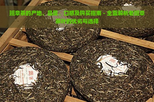 班章茶的产地、品质、口感及购买指南 - 全面解析老班章茶叶的优劣与选择