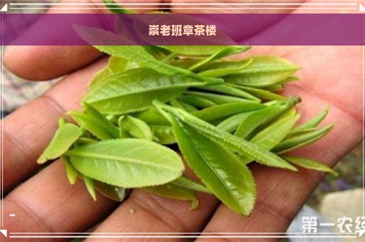 崇老班章茶楼