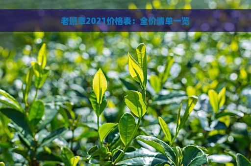 老班章2021价格表：全价清单一览