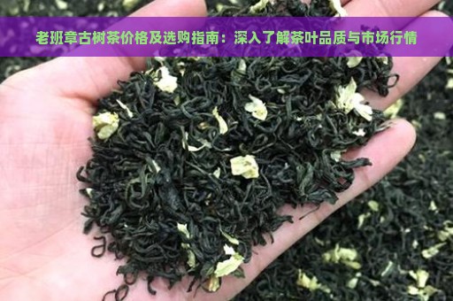 老班章古树茶价格及选购指南：深入了解茶叶品质与市场行情