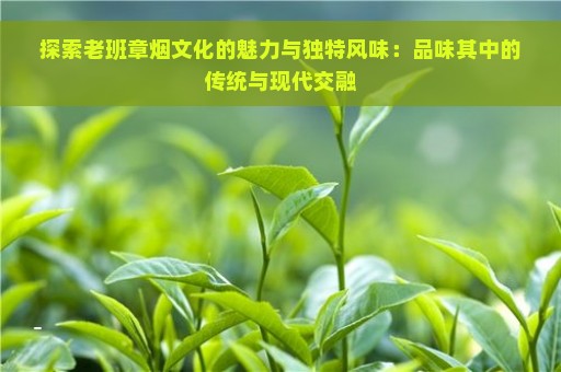 探索老班章烟文化的魅力与独特风味：品味其中的传统与现代交融