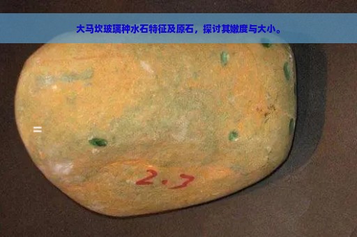 大马坎玻璃种水石特征及原石，探讨其嫩度与大小。