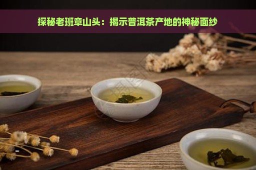 探秘老班章山头：揭示普洱茶产地的神秘面纱