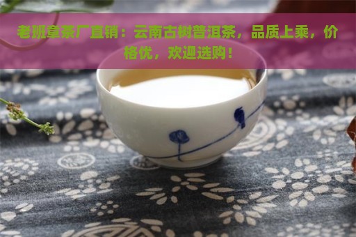 老班章茶厂直销：云南古树普洱茶，品质上乘，价格优，欢迎选购！