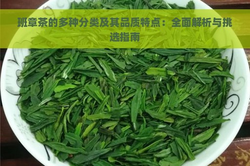 班章茶的多种分类及其品质特点：全面解析与挑选指南