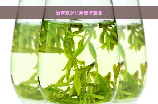 云南茶乡印象普洱茶业