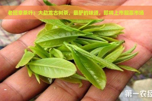 老班章茶叶：大勐龙古树茶，最酽的味道，即将上市股票市场