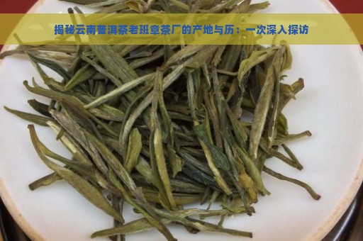 揭秘云南普洱茶老班章茶厂的产地与历：一次深入探访