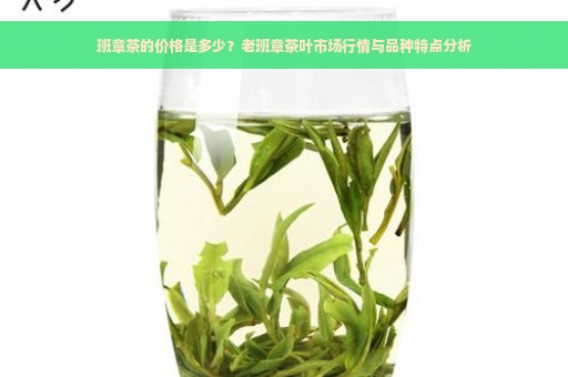 班章茶的价格是多少？老班章茶叶市场行情与品种特点分析