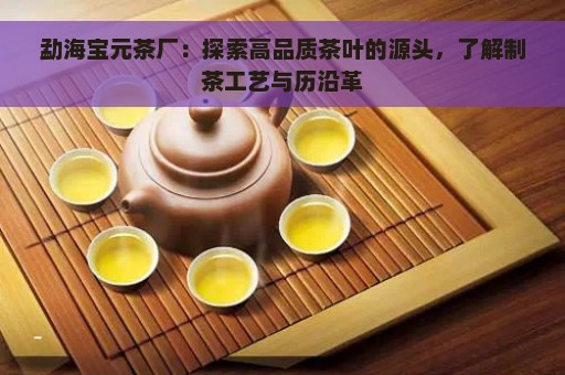 勐海宝元茶厂：探索高品质茶叶的源头，了解制茶工艺与历沿革