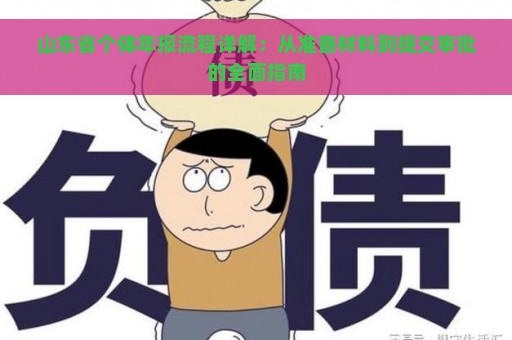 山东省个体年报流程详解：从准备材料到提交审批的全面指南