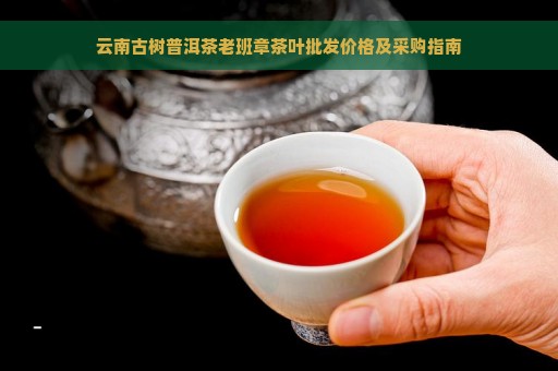 云南古树普洱茶老班章茶叶批发价格及采购指南