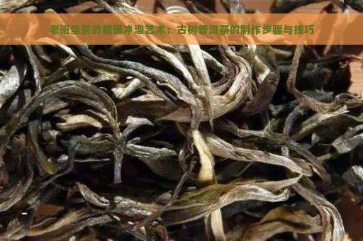 老班章茶的精确冲泡艺术：古树普洱茶的制作步骤与技巧