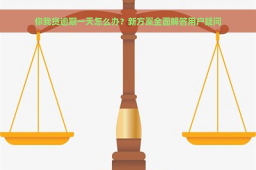 你我贷逾期一天怎么办？新方案全面解答用户疑问