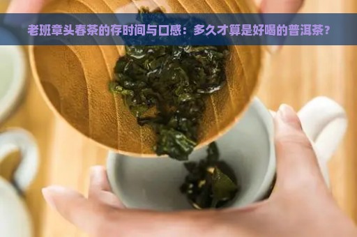 老班章头春茶的存时间与口感：多久才算是好喝的普洱茶？