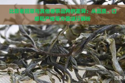 比较老班章与其他春茶品种的差异：从品质、口感和产地等方面进行解析