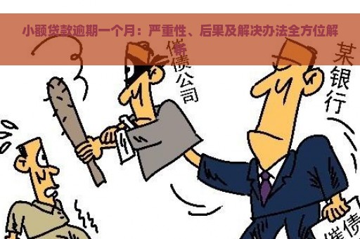 小额贷款逾期一个月：严重性、后果及解决办法全方位解析