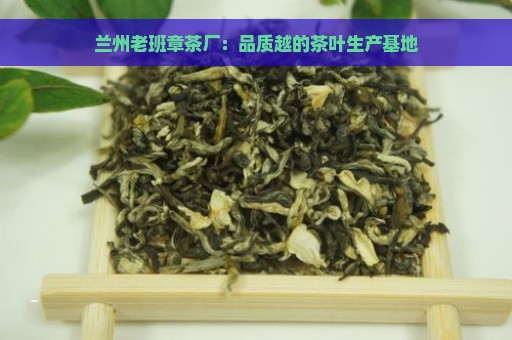 兰州老班章茶厂：品质越的茶叶生产基地