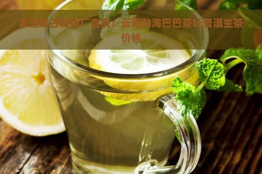 老班章古树茶厂直销：云南勐海巴巴茶叶普洱生茶价格