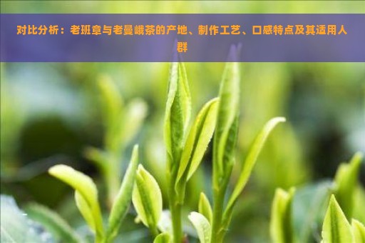 对比分析：老班章与老曼峨茶的产地、制作工艺、口感特点及其适用人群