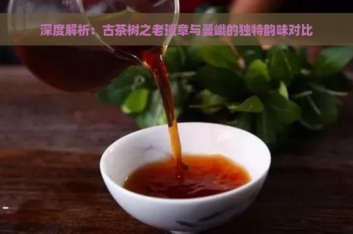 深度解析：古茶树之老班章与曼峨的独特韵味对比