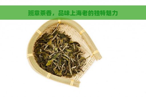 班章茶香，品味上海老的独特魅力