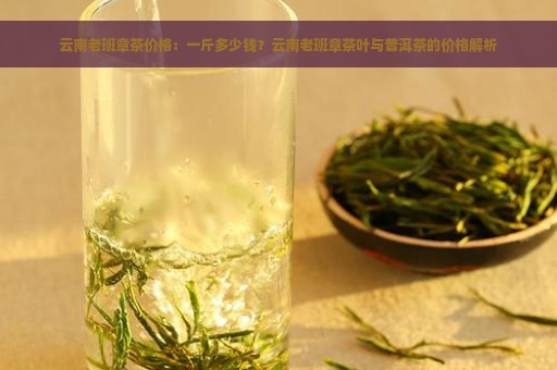 云南老班章茶价格：一斤多少钱？云南老班章茶叶与普洱茶的价格解析