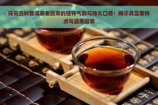 探究古树普洱茶老班章的独特气韵与持久口感：揭示其显著特点与品质因素