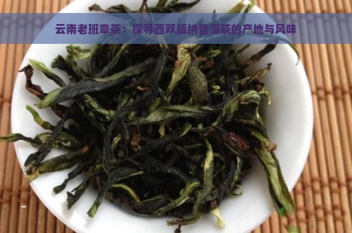 云南老班章茶：探寻西双版纳普洱茶的产地与风味