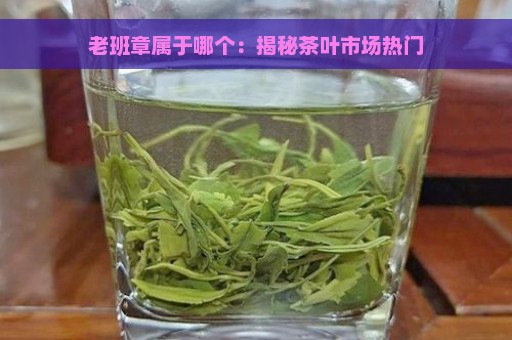 老班章属于哪个：揭秘茶叶市场热门