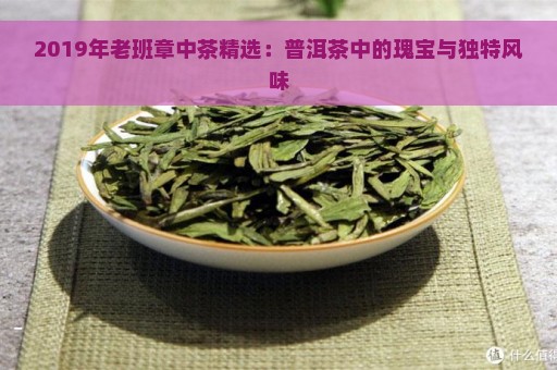 2019年老班章中茶精选：普洱茶中的瑰宝与独特风味