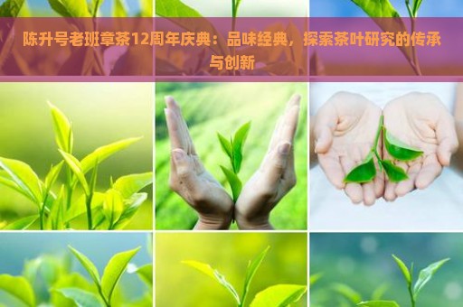 陈升号老班章茶12周年庆典：品味经典，探索茶叶研究的传承与创新