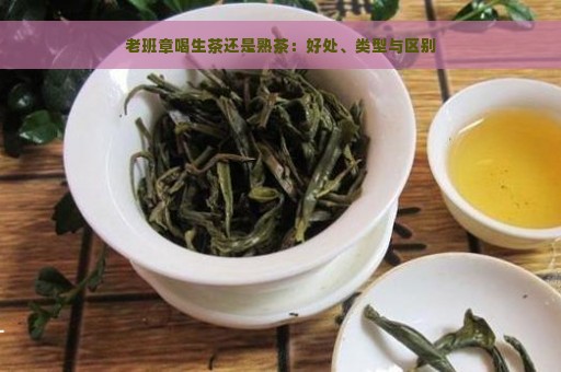 老班章喝生茶还是熟茶：好处、类型与区别