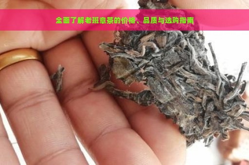 全面了解老班章茶的价格、品质与选购指南