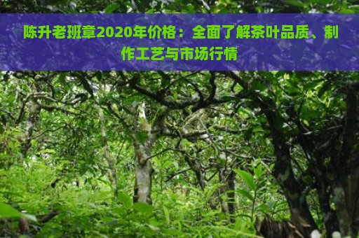 陈升老班章2020年价格：全面了解茶叶品质、制作工艺与市场行情