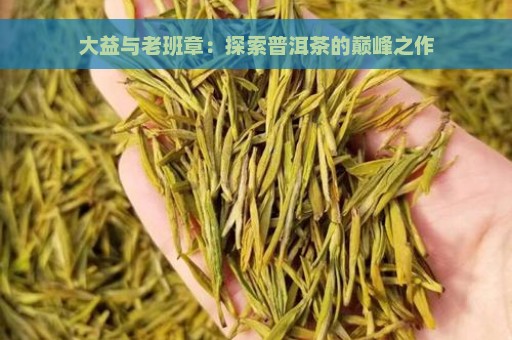 大益与老班章：探索普洱茶的巅峰之作