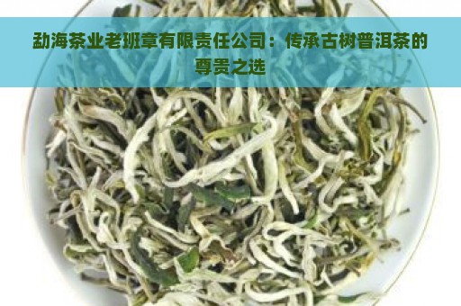 勐海茶业老班章有限责任公司：传承古树普洱茶的尊贵之选