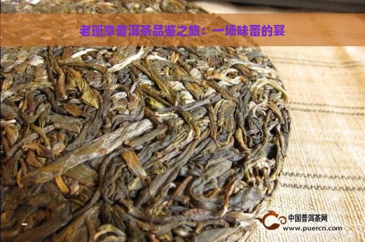 老班章普洱茶品鉴之旅：一场味蕾的宴