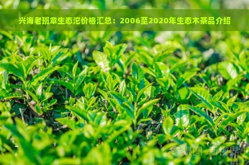 兴海老班章生态沱价格汇总：2006至2020年生态木茶品介绍