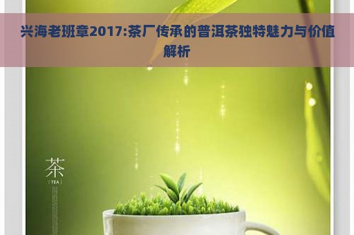 兴海老班章2017:茶厂传承的普洱茶独特魅力与价值解析