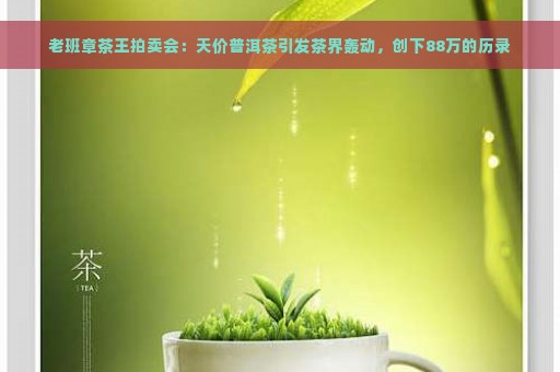 老班章茶王拍卖会：天价普洱茶引发茶界轰动，创下88万的历录