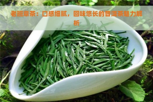 老班章茶：口感细腻，回味悠长的普洱茶魅力解析