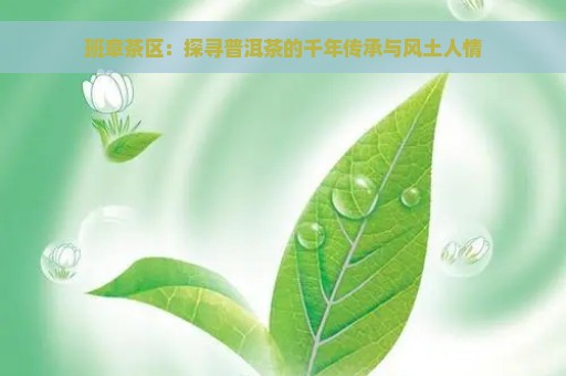 班章茶区：探寻普洱茶的千年传承与风土人情