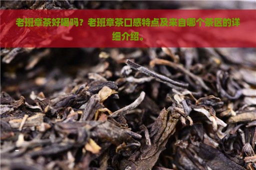 老班章茶好喝吗？老班章茶口感特点及来自哪个茶区的详细介绍。