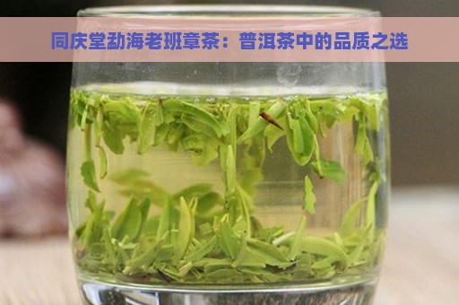 同庆堂勐海老班章茶：普洱茶中的品质之选