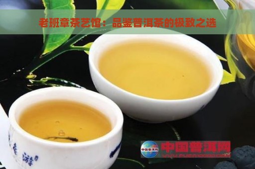 老班章茶艺馆：品鉴普洱茶的极致之选