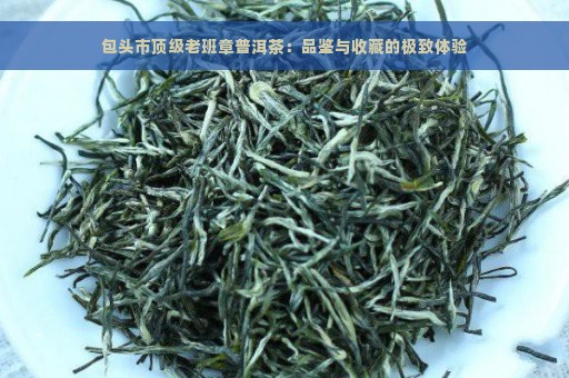 包头市顶级老班章普洱茶：品鉴与收藏的极致体验