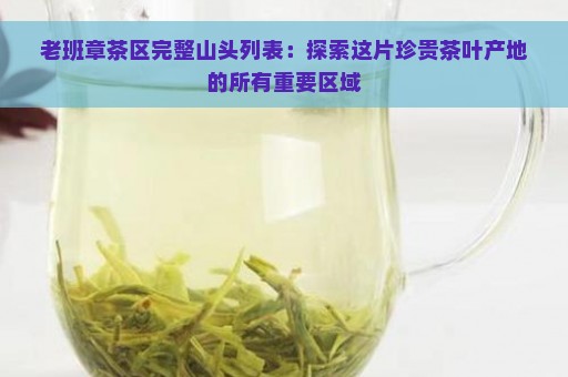 老班章茶区完整山头列表：探索这片珍贵茶叶产地的所有重要区域