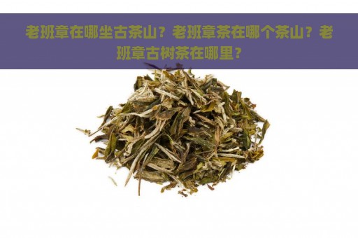 老班章在哪坐古茶山？老班章茶在哪个茶山？老班章古树茶在哪里？