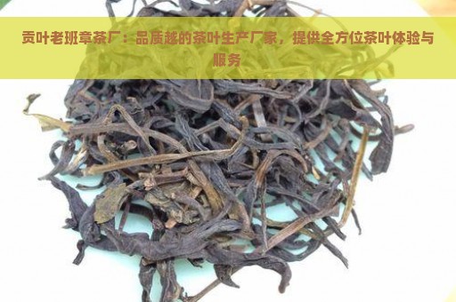 贡叶老班章茶厂：品质越的茶叶生产厂家，提供全方位茶叶体验与服务